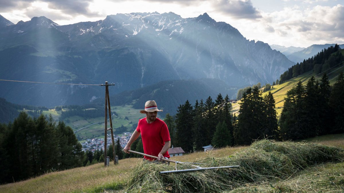 Guests are invited to help with the hay harvest.
, © Tirol Werbung / Sebastian Höhn