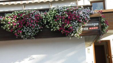 Blumen auf der Terrasse