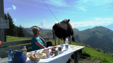 Auf  unserer Alm