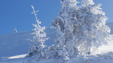 Winterlandschaft am Joel