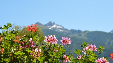 Ausblick Zimmer