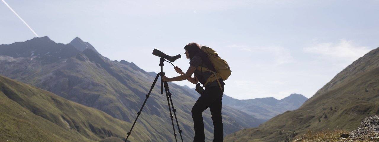 Nature Watch in the Karwendel Alpine Park, © Tirol Werbung/Olaf Unverzart