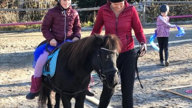 FEBS Reitpädagogische Betreuung am Hof