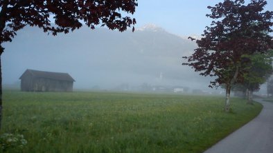 Moos Spaziergang am Morgen