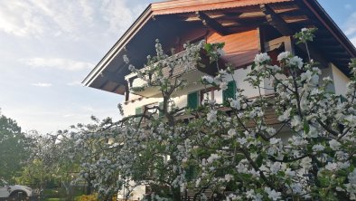 Frühling im Garten