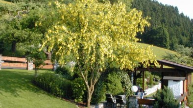 Gartenterrasse