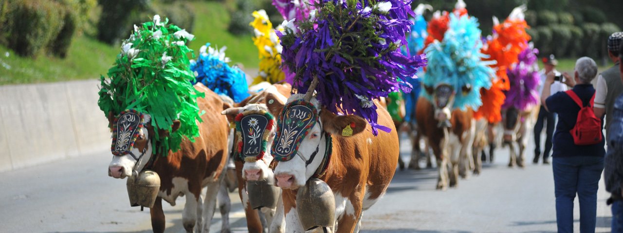 Decked out in garlands of flowers and ribbons, cows run down the village streets of Hopfgarten for the annual Cattle Drive, © Hannes Dabernig/TVB Kitzbüheler Alpen - Brixental