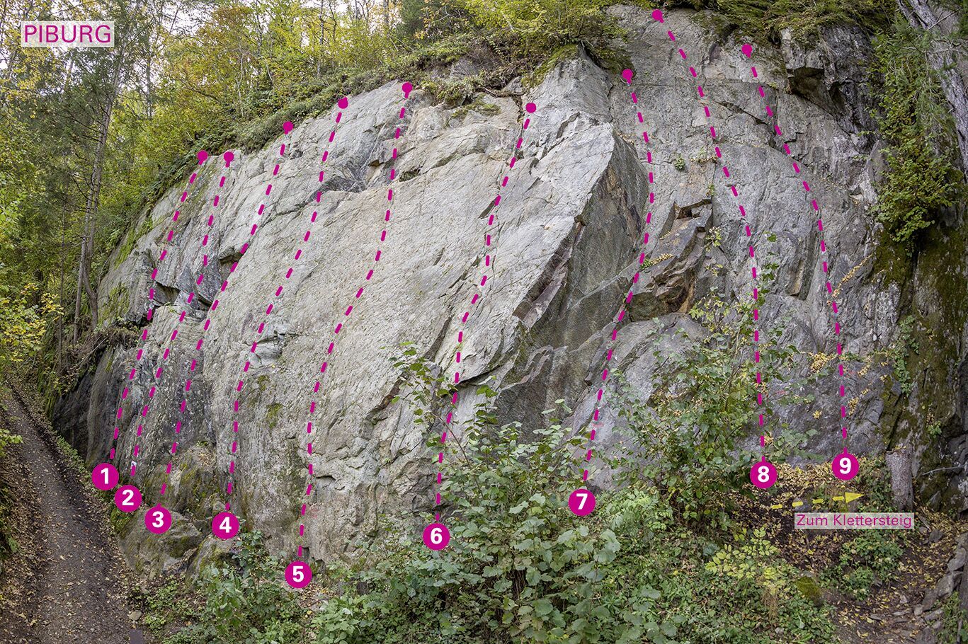 Topography