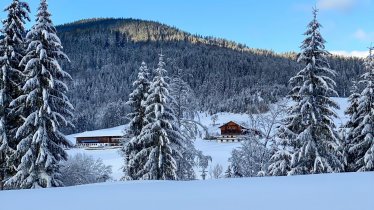 Blick auf den Tuxerhof