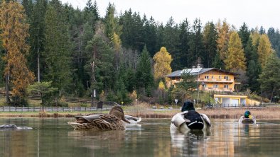 Wildsee-Spaetherbst, © Heinz Holzknecht