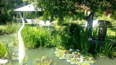 Teich und Garten