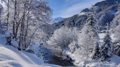 Wanderweg am Tuxbach