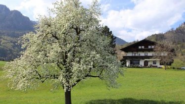 Apartments in Kramsach/Tirol 452, © bookingcom
