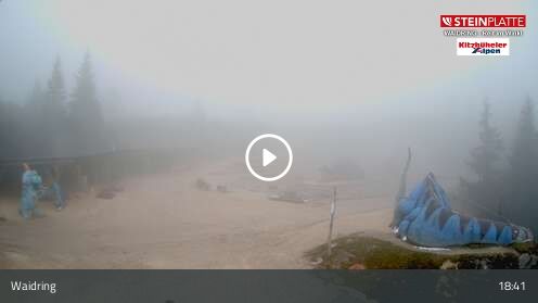 Webcam Triassic Park