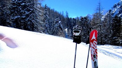 6315 Skifahren