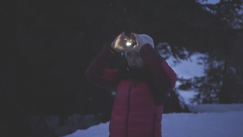 Nights in the mountains are a magical experience. A headlamp helps you find your way even after the sun has set.
