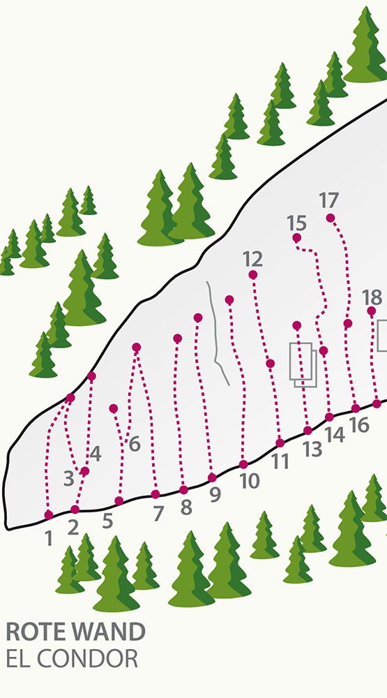 Topography