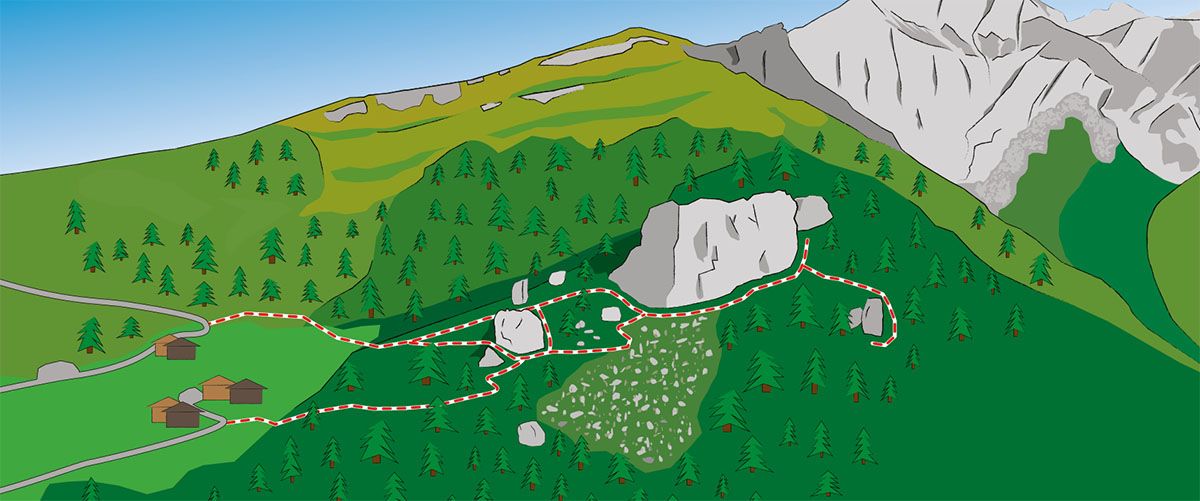 Topography