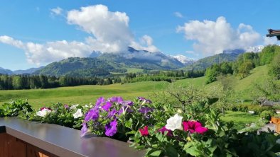 Aussicht vom Balkon