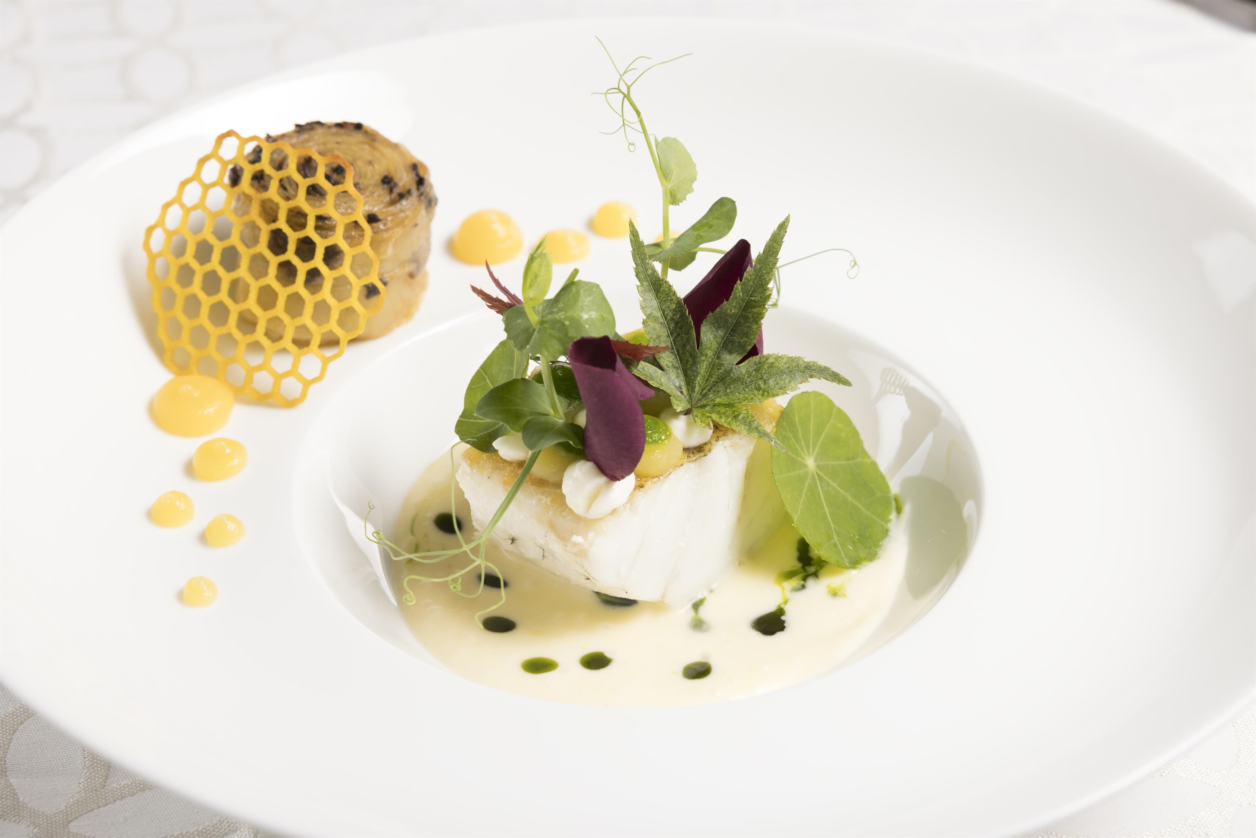 An artistic dish with tender fish, fresh herbs, and a decorative honeycomb. In addition, fine sauces are arranged in various colors.