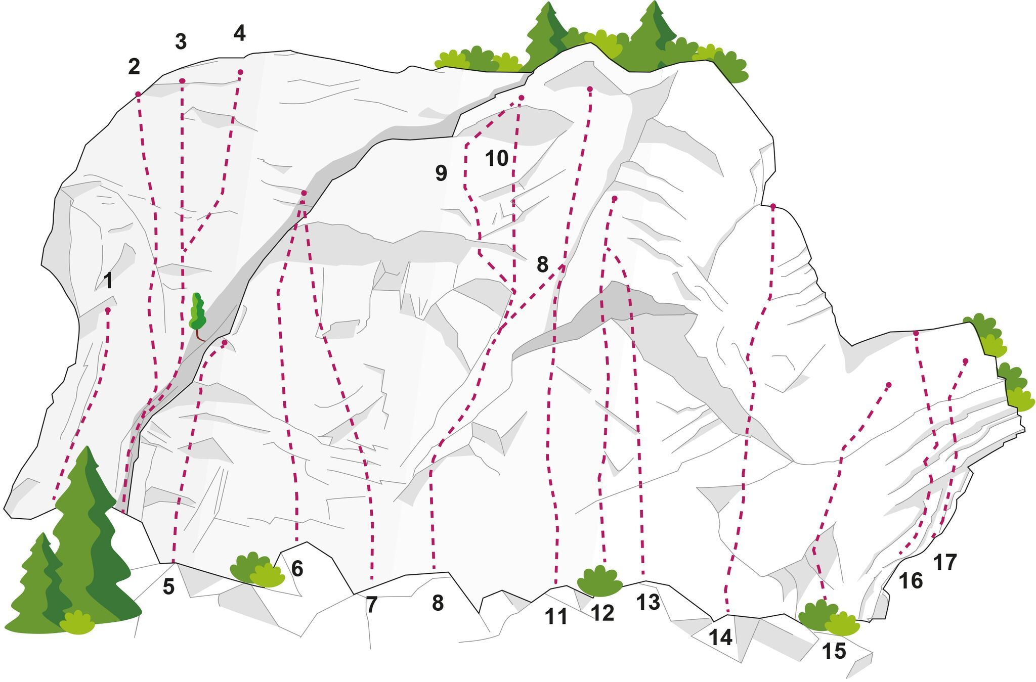 Topography