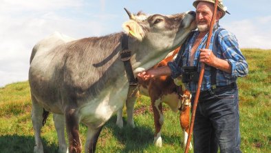 Glückliche Tiere auf der Steiner Alm im Wipptal, © Almis Berghotel