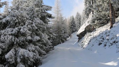 Rodelausflug zur Milderaunalm