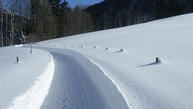 Gut geräumte Winterwanderwege