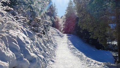 hiking trail at the "tuxbach" in winter