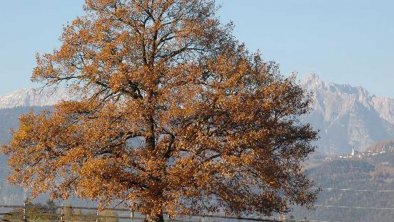 Marxerhof Herbst