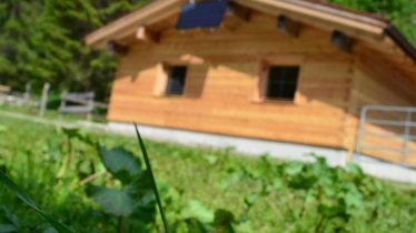 Chalet Edelweiss in Hornabchtal, © C