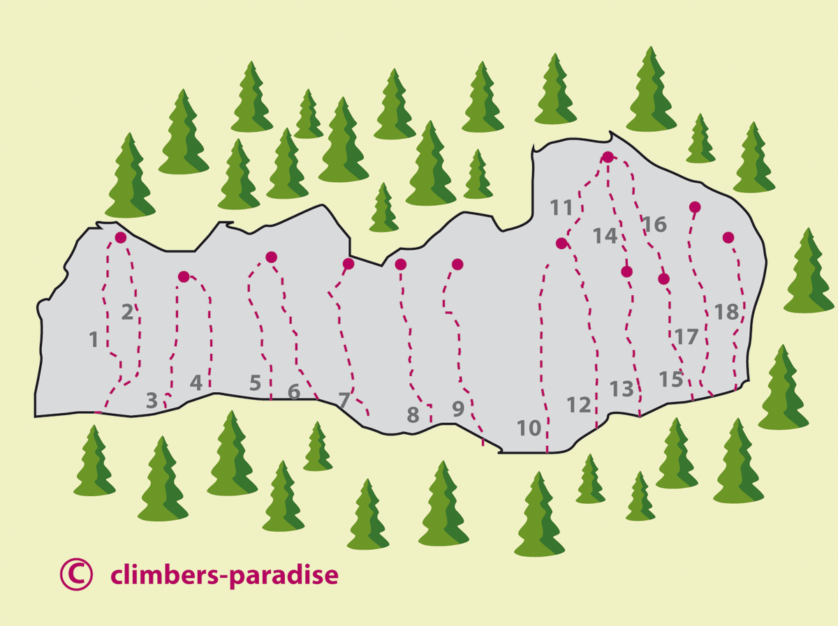 Topography