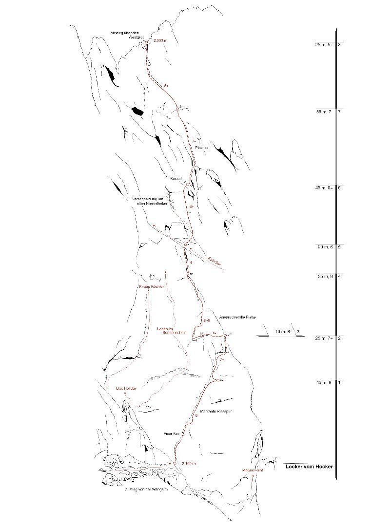 Topography