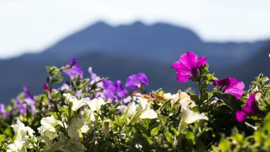 Blumen, © Hotel Sonnenuhr