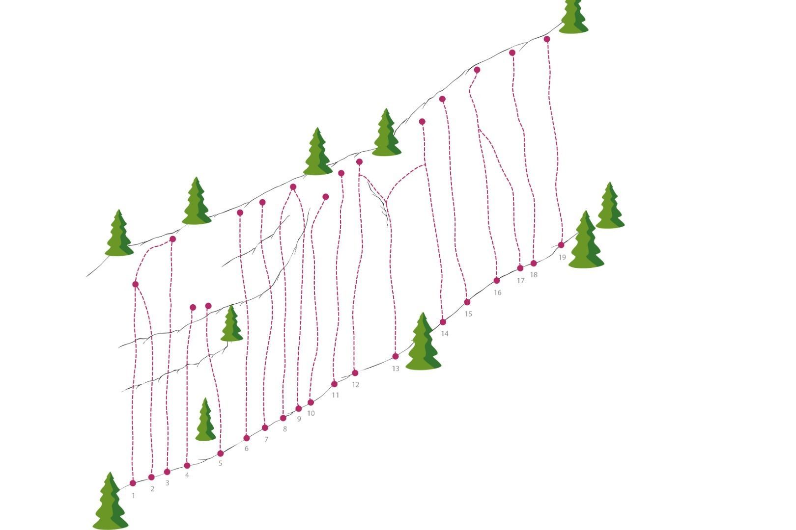 Topography
