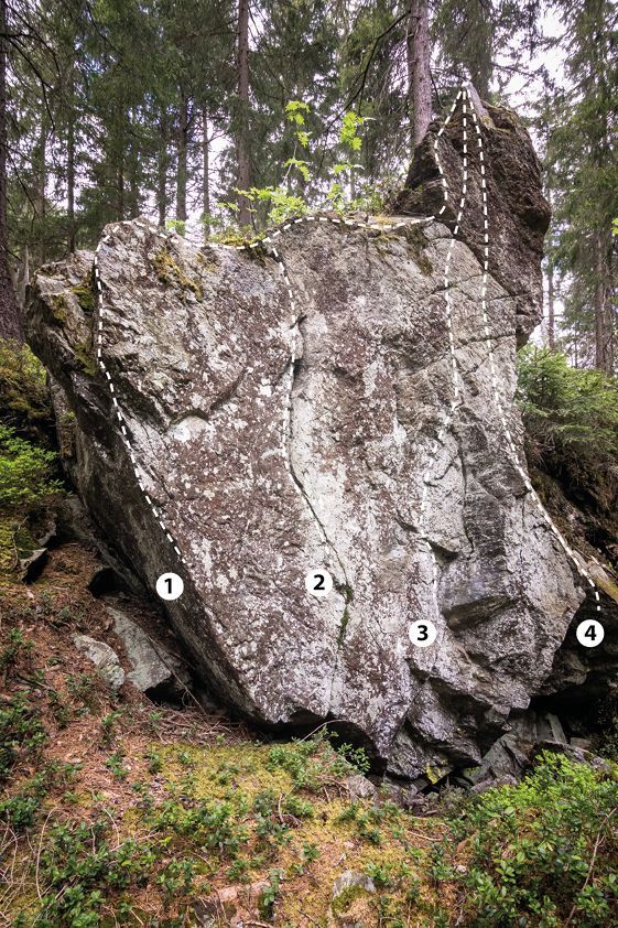 Topography