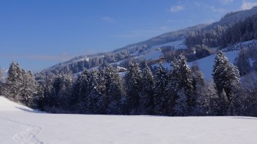 Winter hike in Tulfes