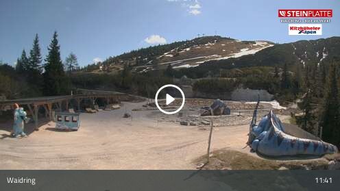 Webcam Triassic Park