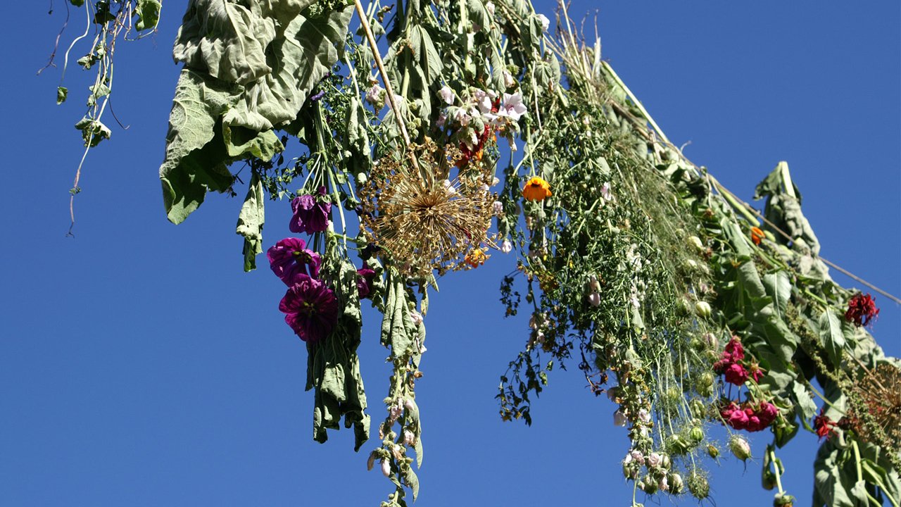 herbs, © Auffang Alm 