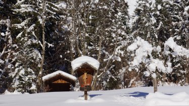 Winter hike: Absam - Thaur, © Hall-Wattens