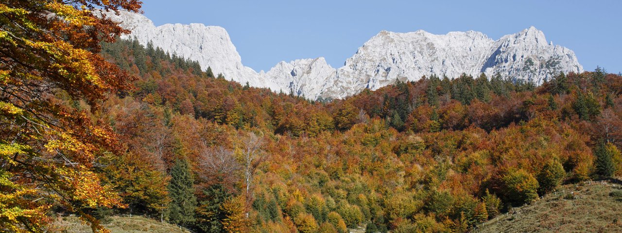 Autumn in the Wilder Kaiser Mountains