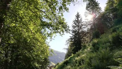 hiking trail at the "tuxbach"