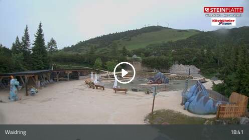 Webcam Triassic Park