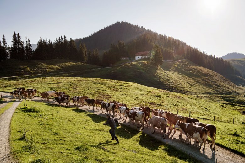 The Burgeralm hut., © Tirol Werbung, Frank Bauer