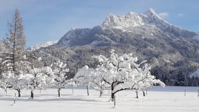 Säuling im Winter