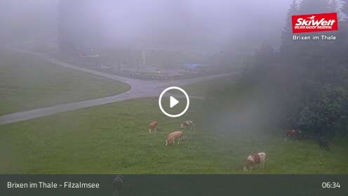 Webcam Filzalmsee