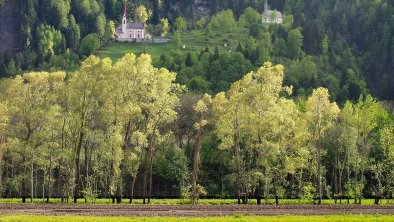 Saftiges Grün im Frühling