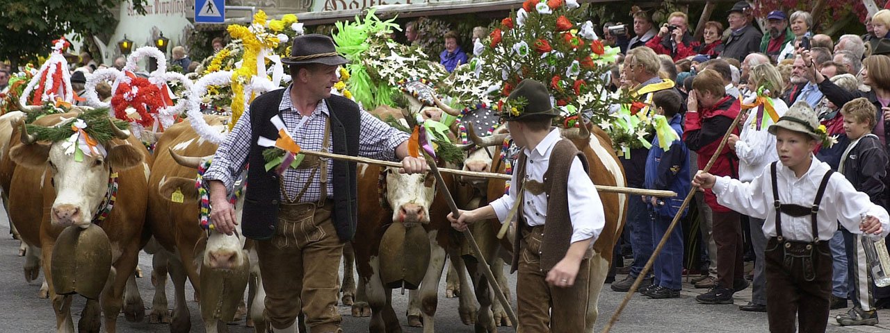 The cows are herded through Kössen accompanied by a loud ringing of cowbells, © TVB Kaiserwinkl