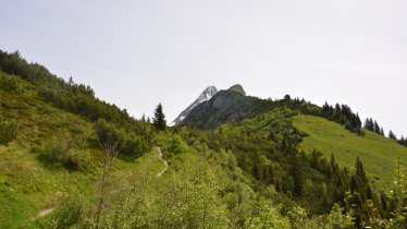 Brandberg Alpine Pastures Hike to the Kolmhaus hut, © Hochgebirgs-Naturpark Zillertaler Alpen