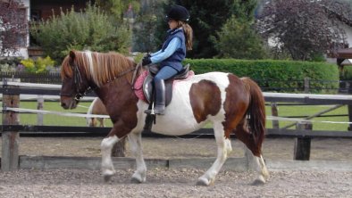 Ponyreiten am Hof möglich